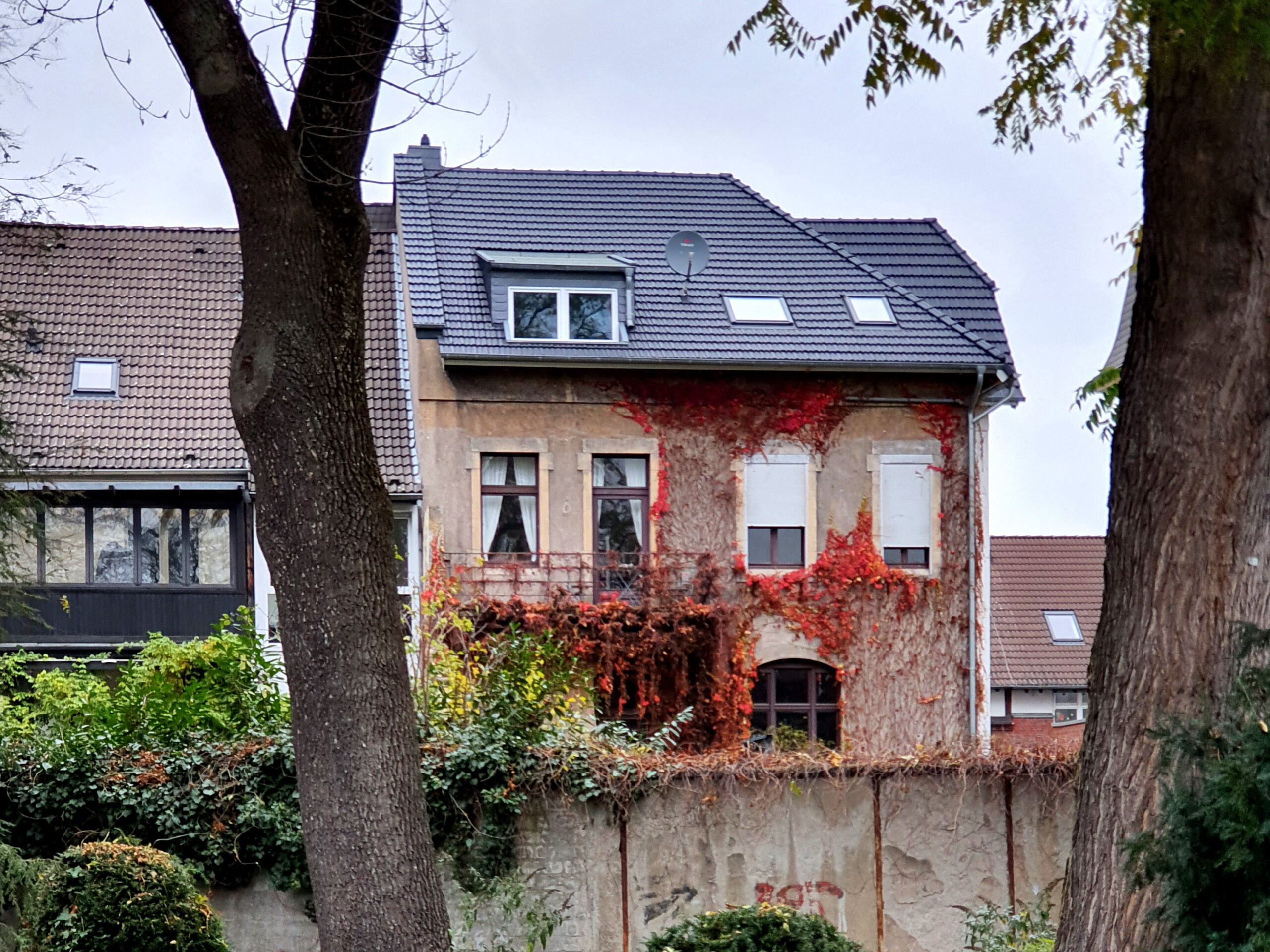 VHS-Themenabend Dach- und Fassadenbegrünung: Wie mache ich mein Haus „grün“? am 12. Februar